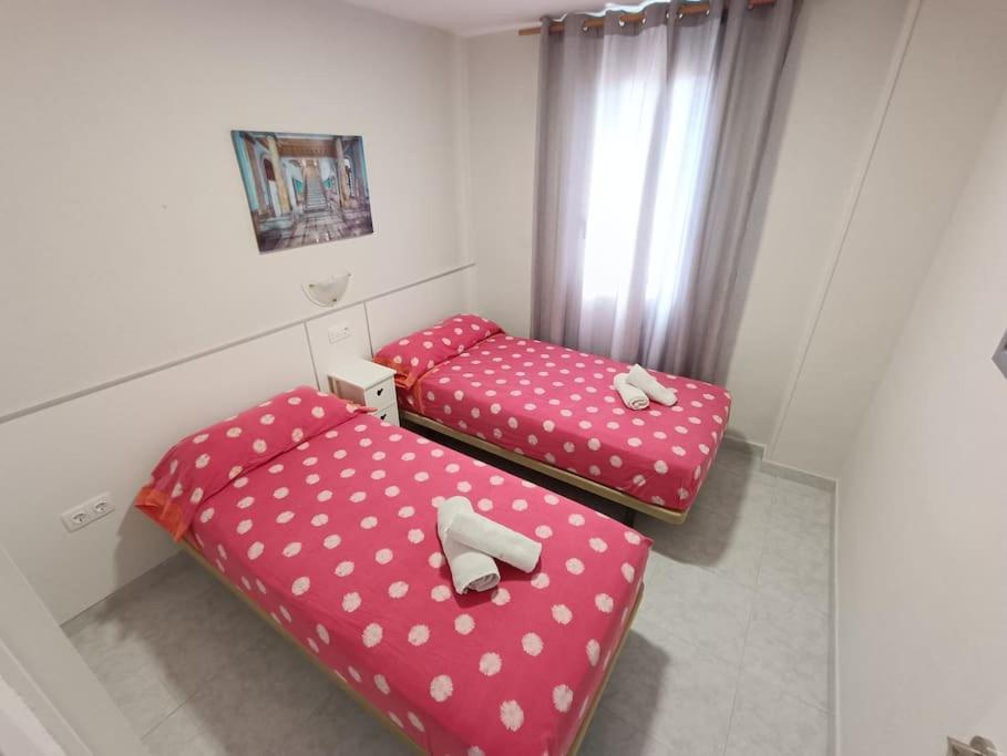 Mobydick 10b Apartamento